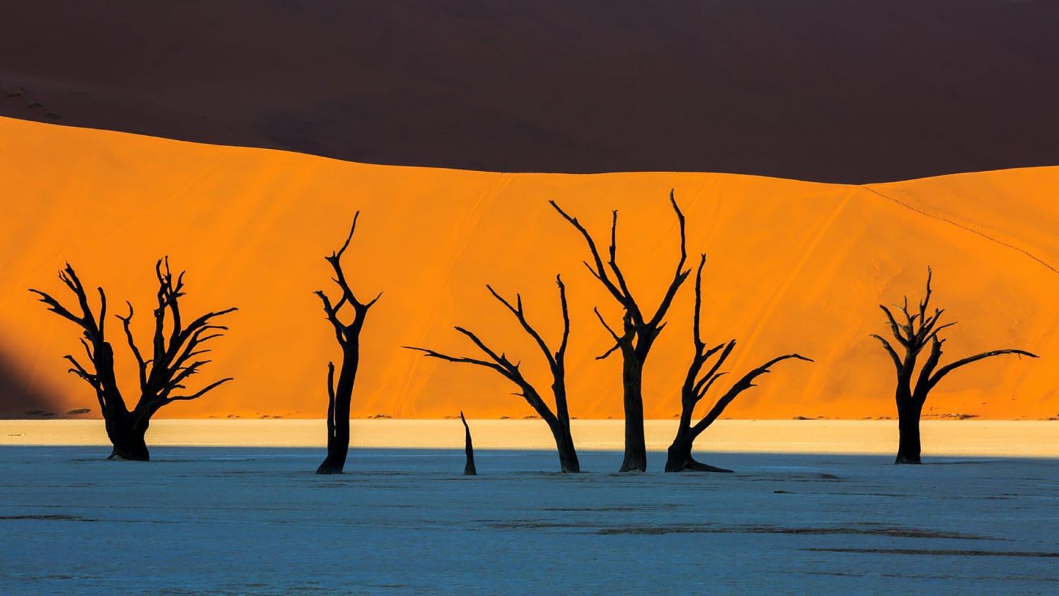 Desert Odyssey A Journey of a Lifetime Khondlo Expeditions